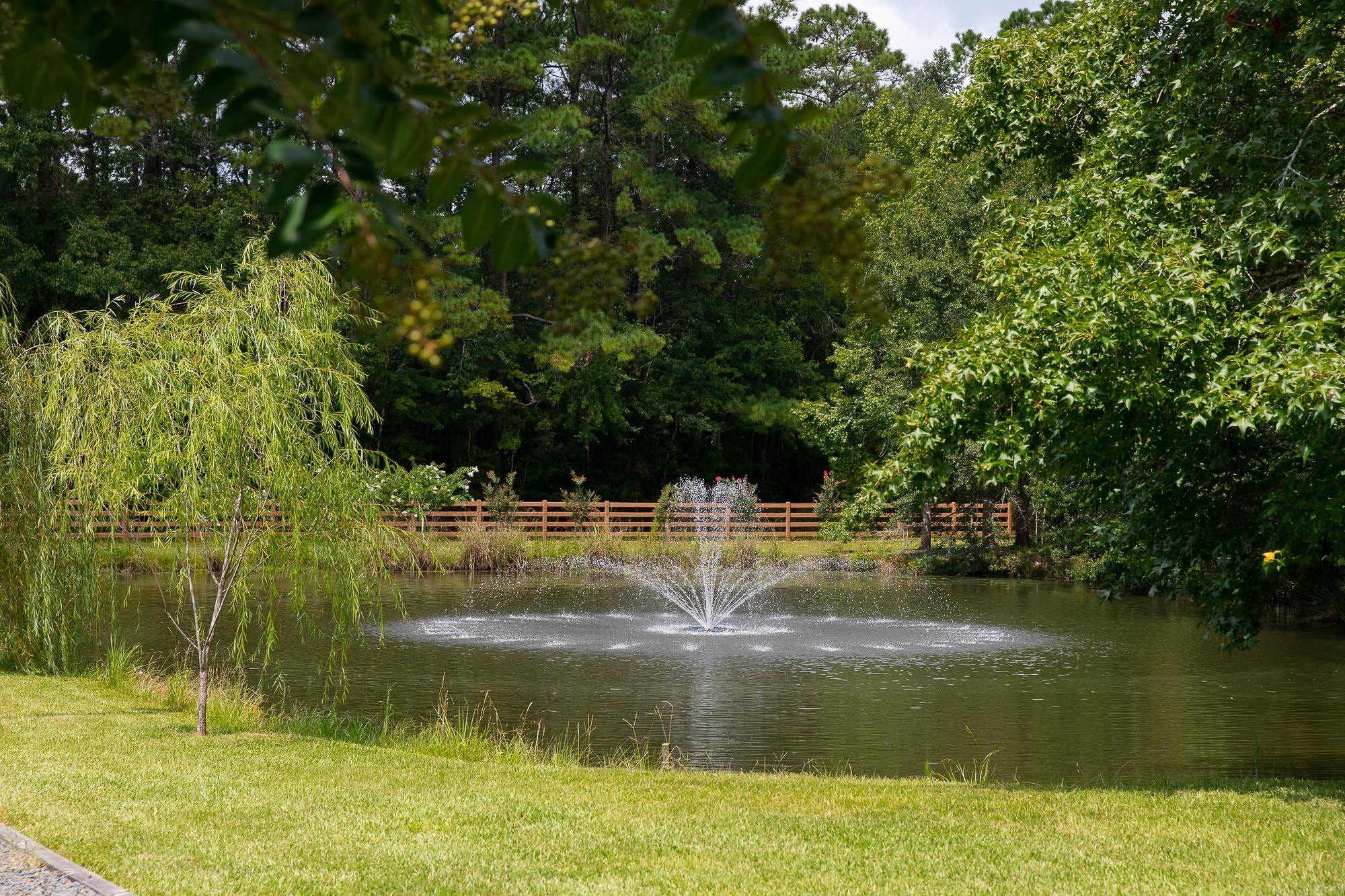 10_SNC_AD-2_Garden_2000Px_Wide-17