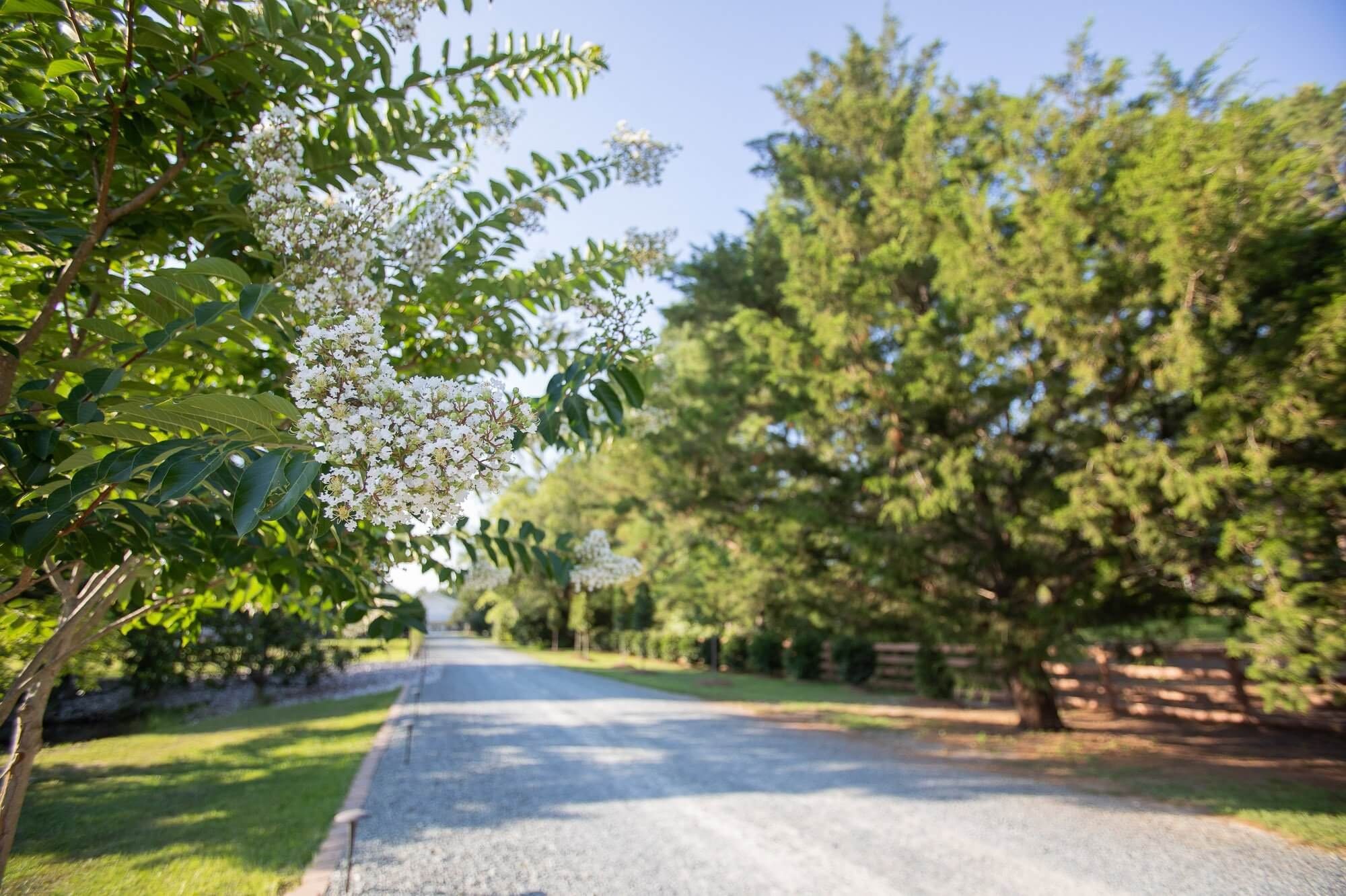 10_SNC_AD-2_Garden_2000Px_Wide-4