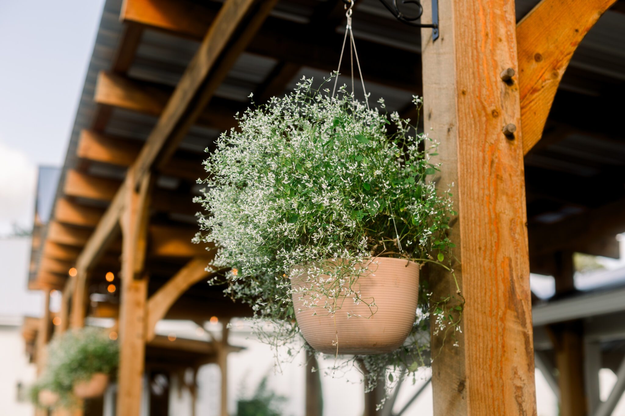 flower pot hanging wedding venue