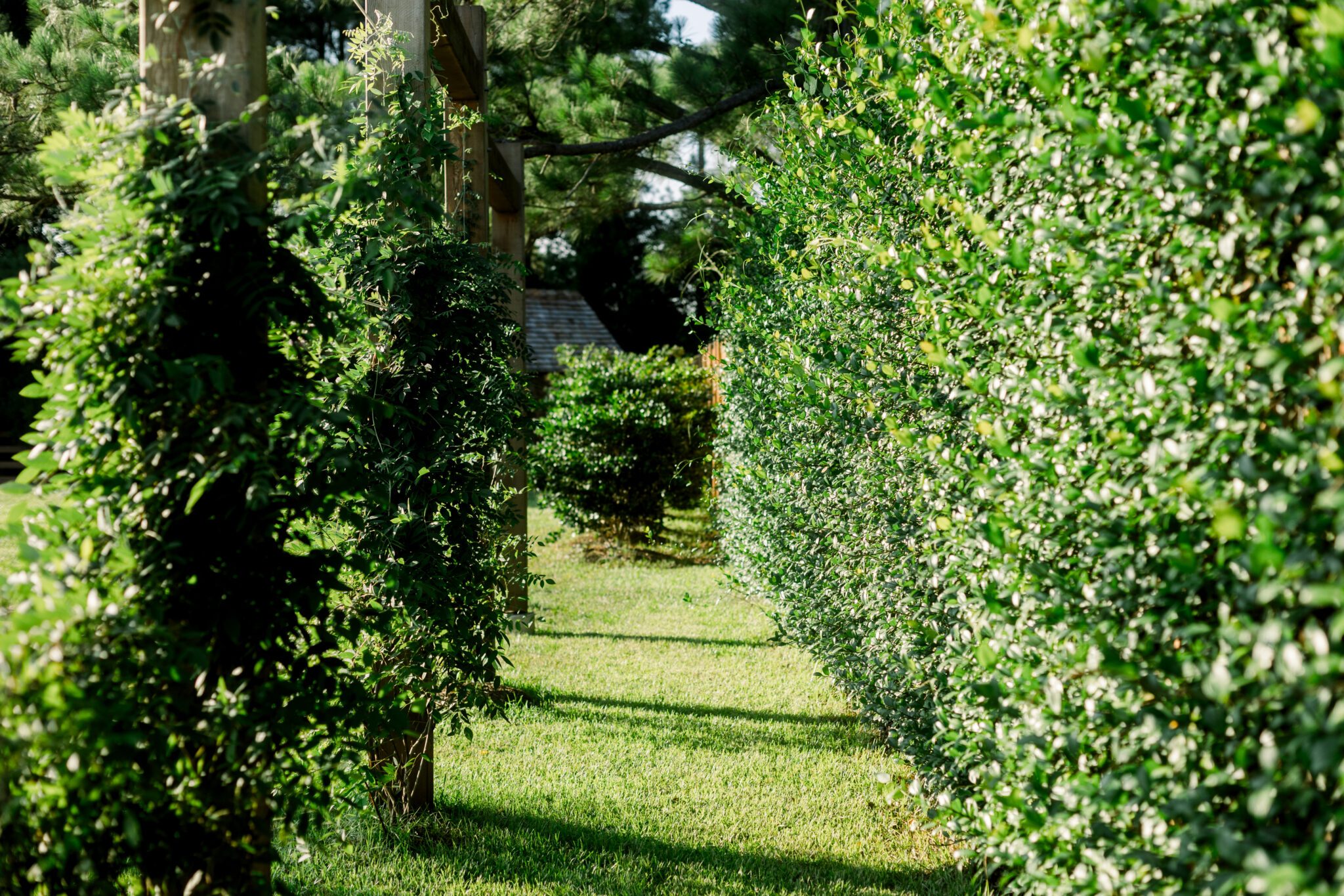 garden estate venue green wall