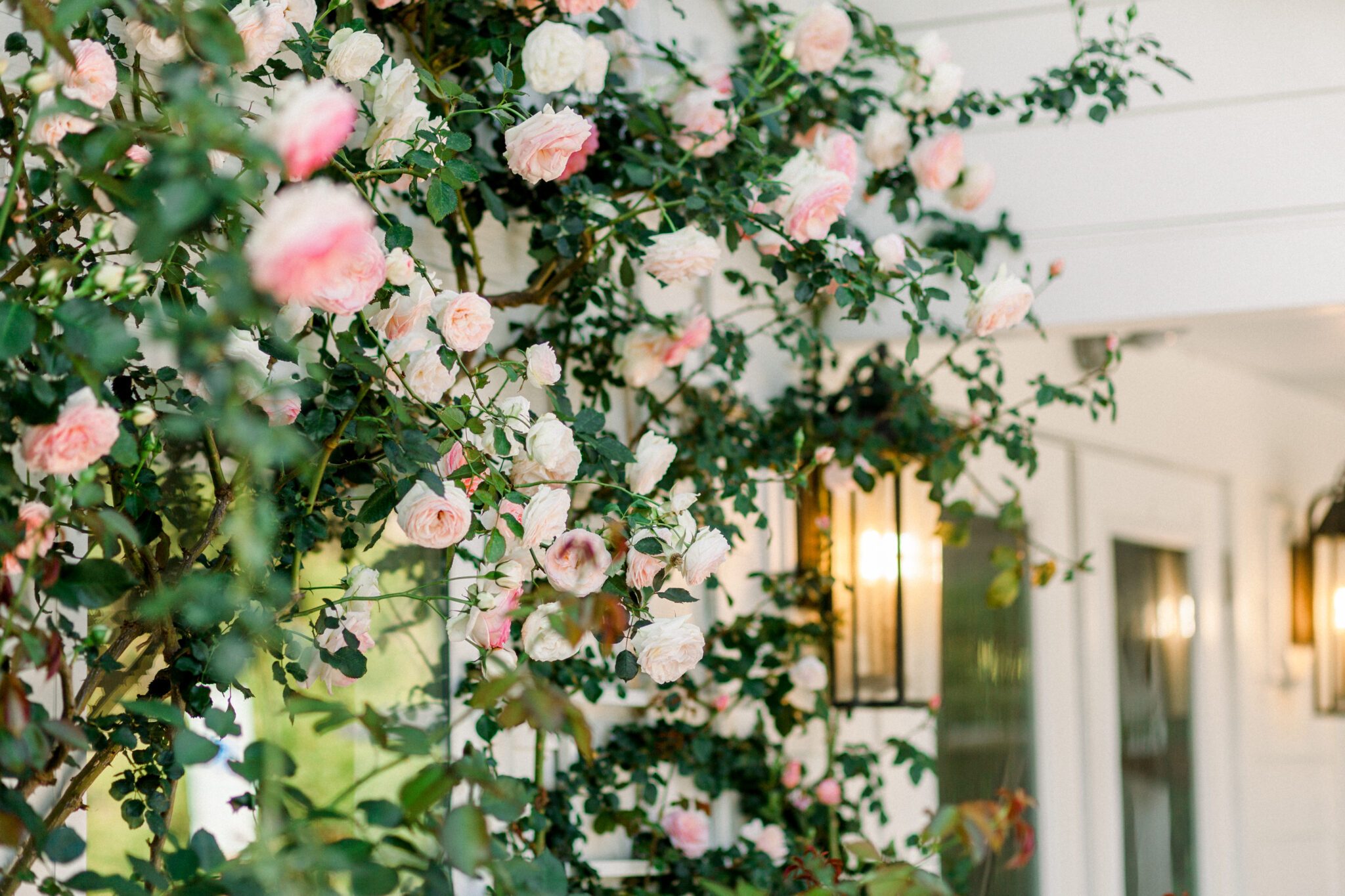 wedding florals bouquet