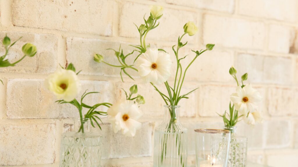 Slate and Cypress - August 2025 - Venue Inside 55 of 73