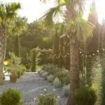 Lush outdoor grounds and greenery at Slate & Cypress wedding and event venue.
