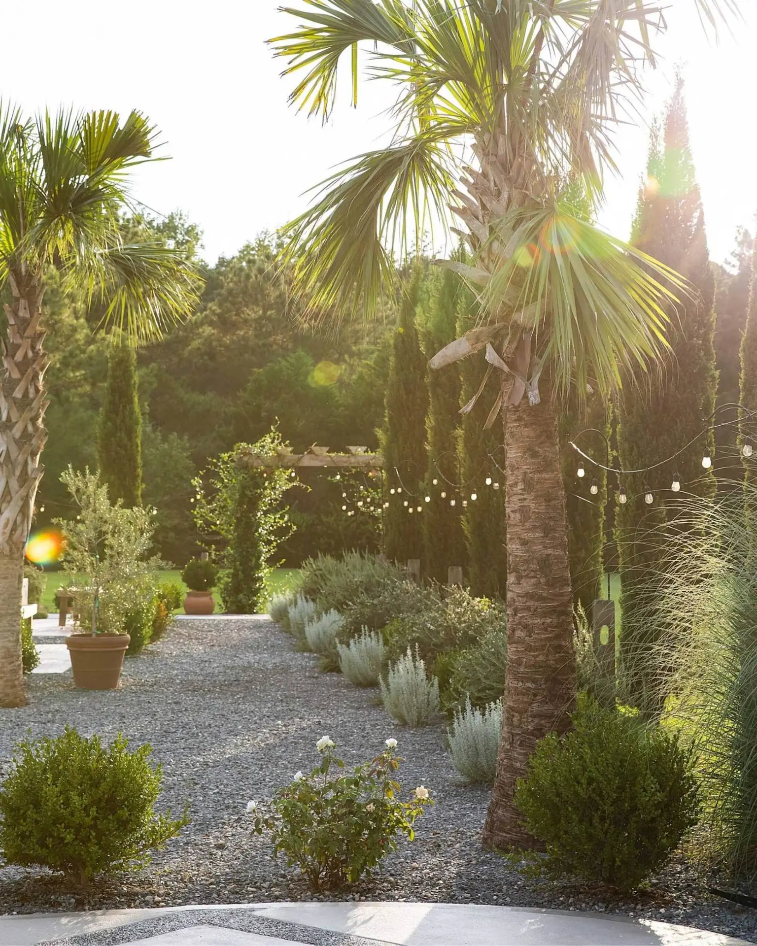 Lush outdoor grounds and greenery at Slate & Cypress wedding and event venue.